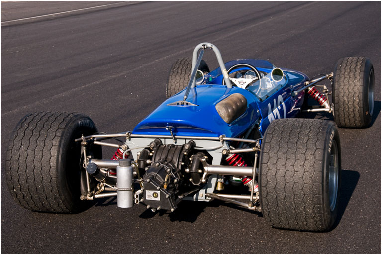 Blue Racer